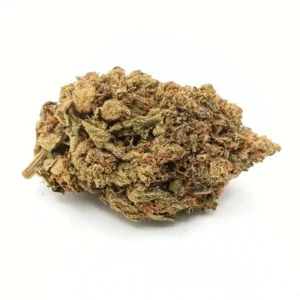Northern Lights AA